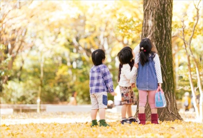 離婚して離れて暮らす子供の生活実態調査