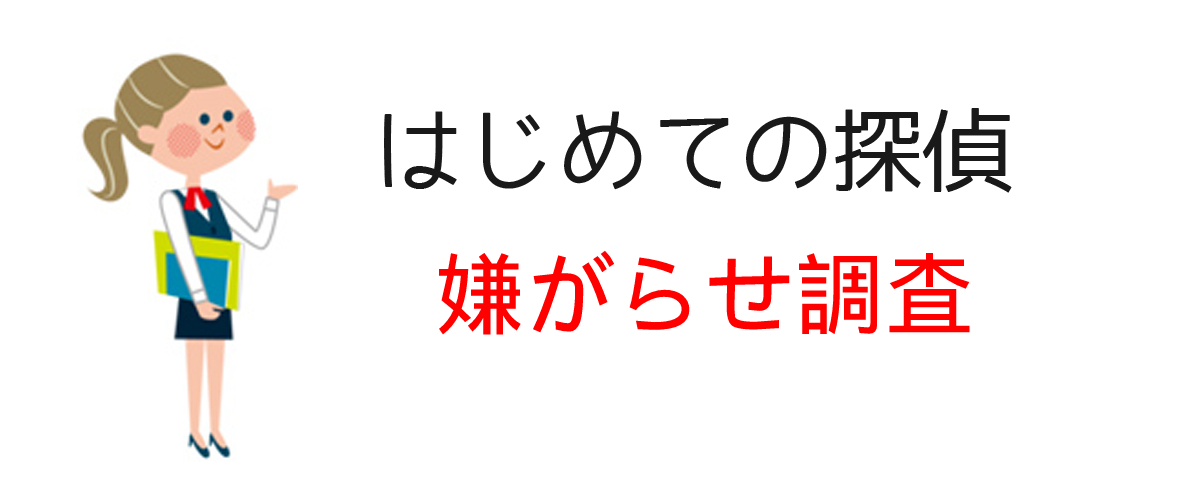 嫌がらせ調査の概要