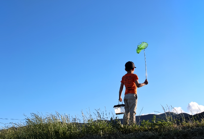 車にいたずらする子供に注意したい！親が認めない時どうしたらいい？｜嫌がらせ解決調査事例