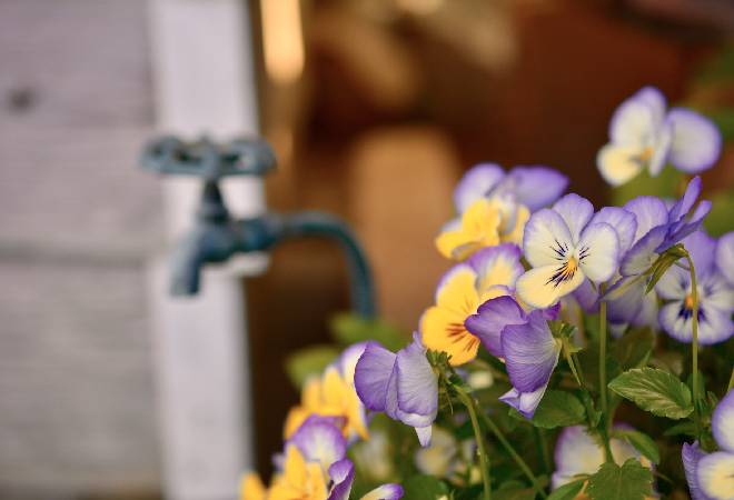 庭の蛇口にイタズラ？水道を勝手に使っている人がいる｜嫌がらせ調査事例