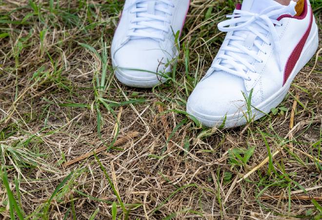 人探しに関する質問と専門家の答え