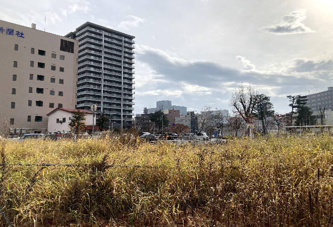 「空き地に大蛇がいるらしい」｜40代女性からの調査相談