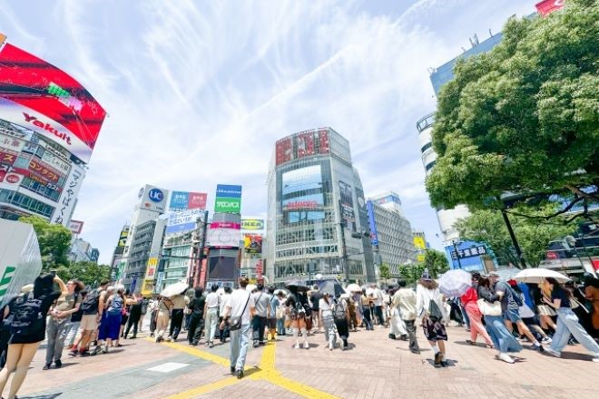 「大丈夫」と言うけれど不安…娘の東京生活を知りたい親の相談｜探偵利用事例