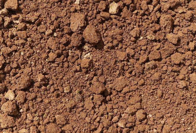 私有地に、家庭菜園の土を捨てている人がいる…｜探偵利用事例
